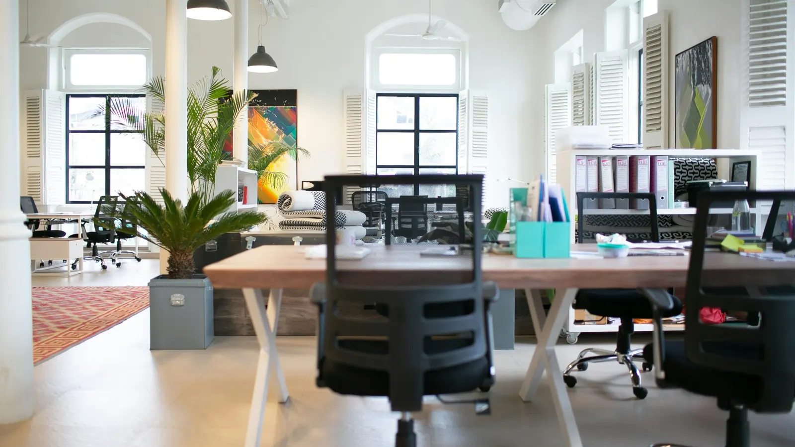 Ufficio open space luminoso con scrivanie in legno, sedute ergonomiche nere, piante e librerie